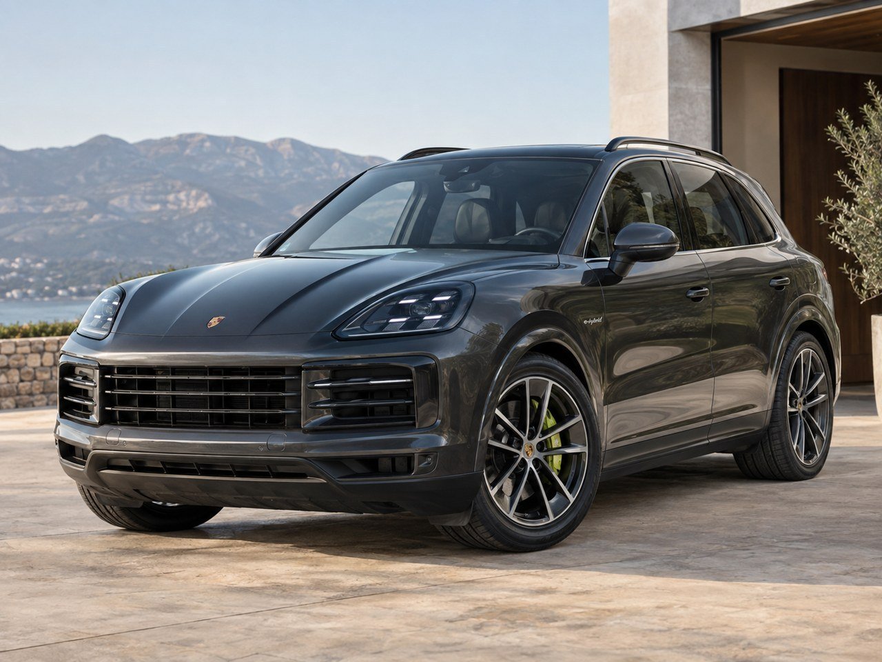 Cayenne E-Hybrid hybrid battery